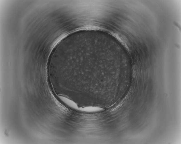 X0000093481229200710261032