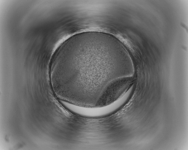 X0000093481230200710261032