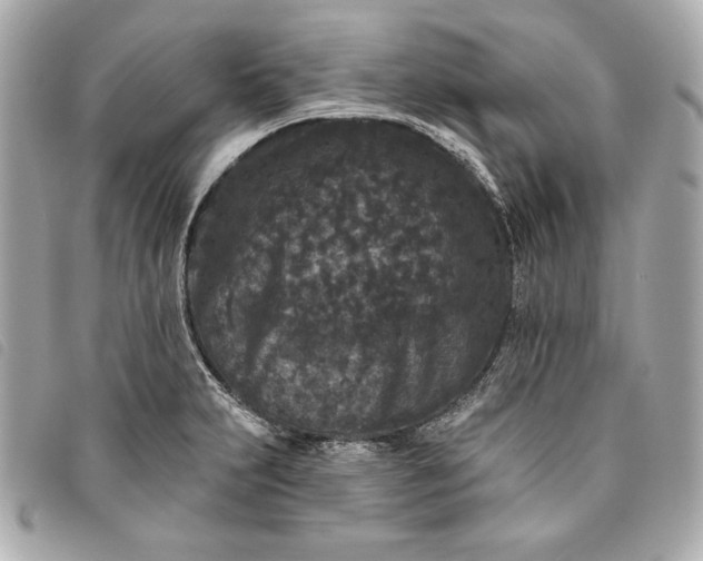 X0000093481231200710261032