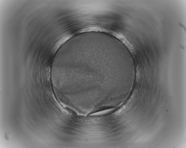 X0000093481233200710261032