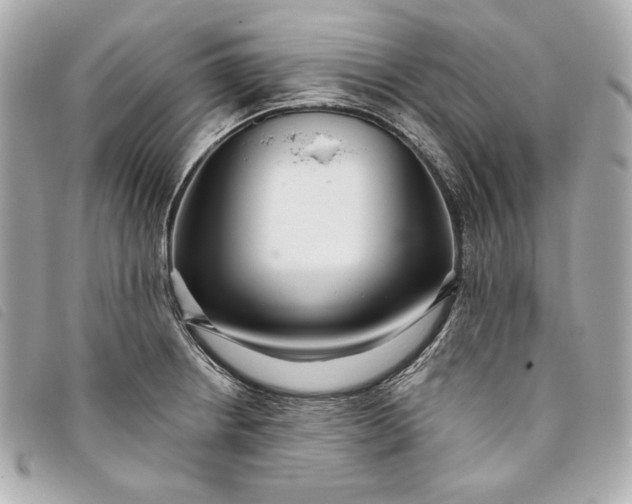 X0000093481234200710261032