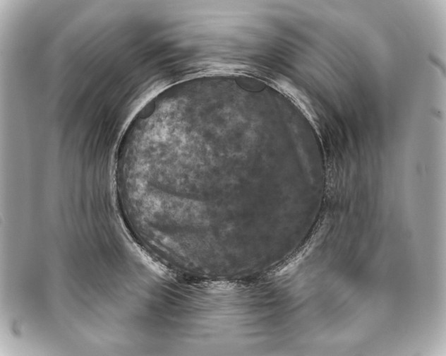 X0000093481235200710261032