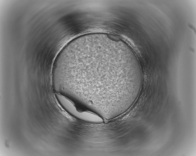 X0000093481236200710261032