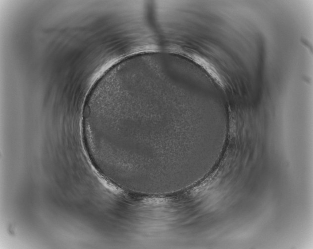 X0000093481237200710261032