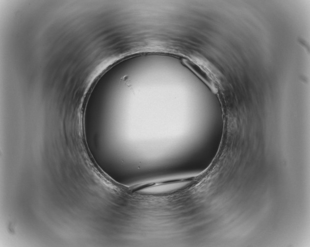 X0000093481238200710261032