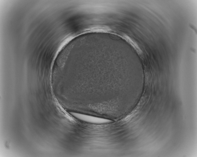 X0000093481240200710261032