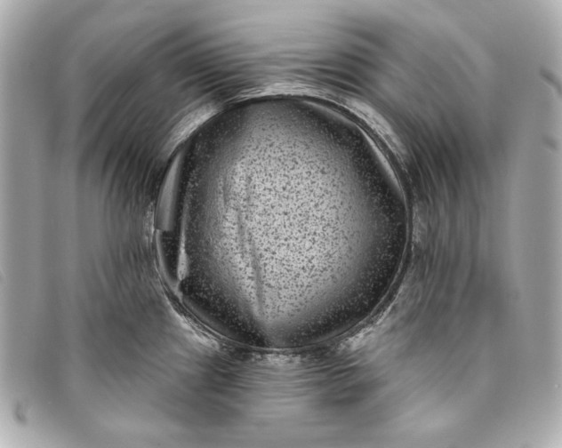 X0000093481241200710261032