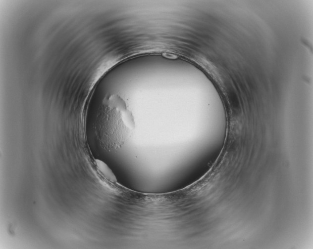 X0000093481242200710261032