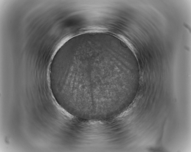 X0000093481243200710261032