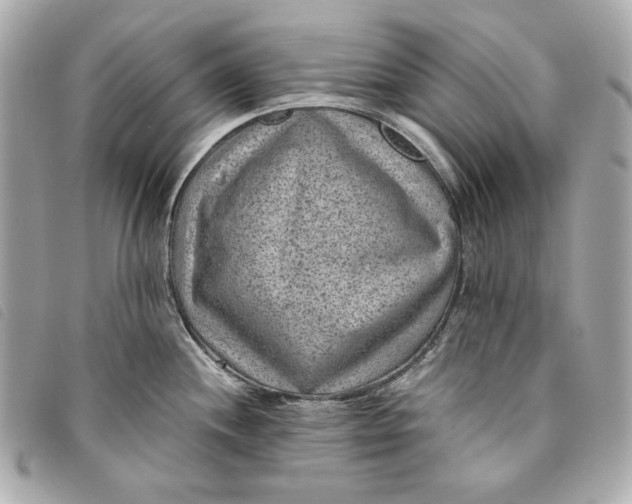 X0000093481244200710261032