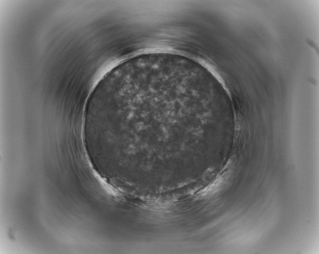 X0000093481245200710261032