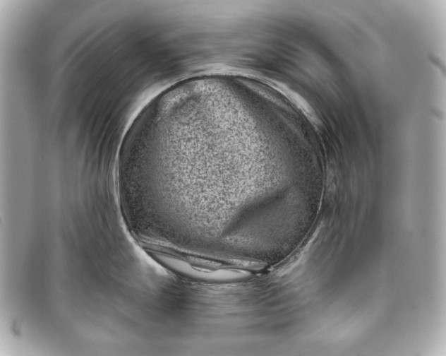 X0000093481247200710261032