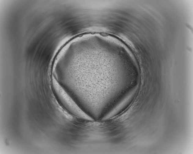 X0000093481248200710261033