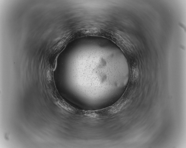X0000093481250200710261032