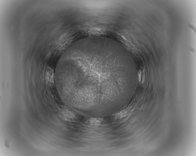 X0000093481251200710261032