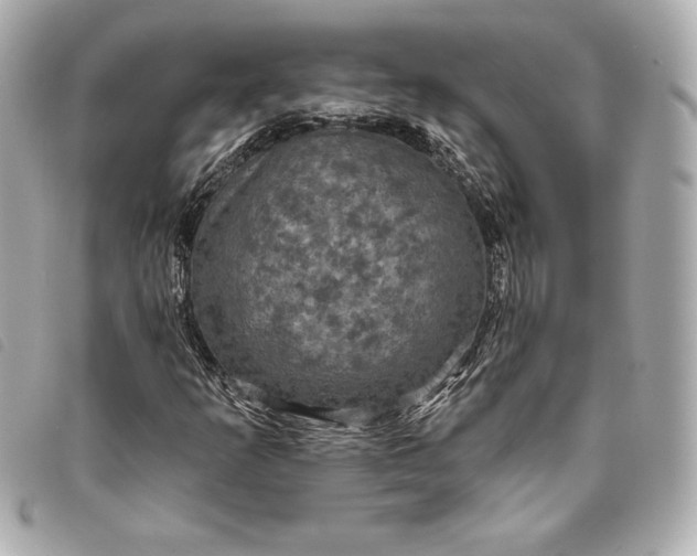 X0000093481253200710261032