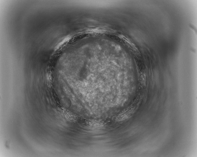 X0000093481254200710261032