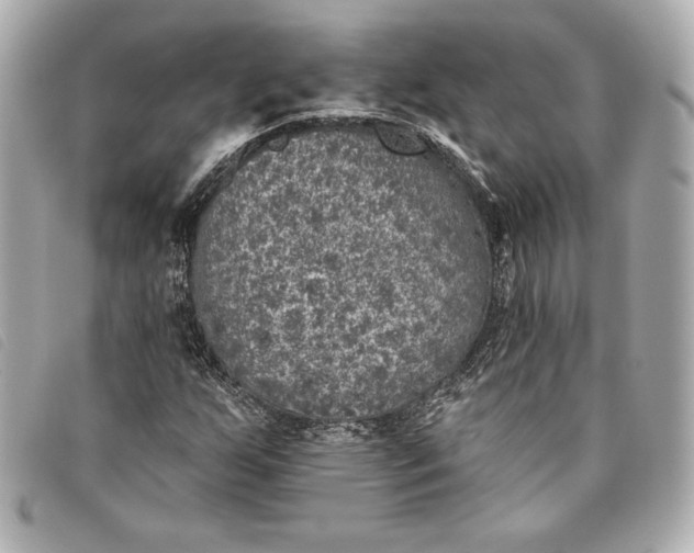 X0000093481255200710261032