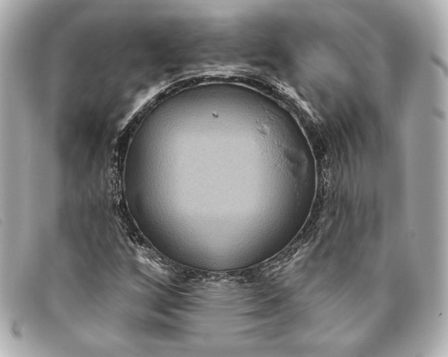 X0000093481256200710261032