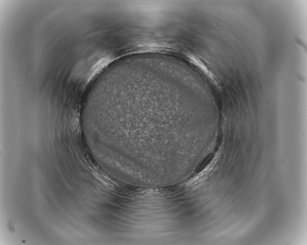 X0000093481259200710261032