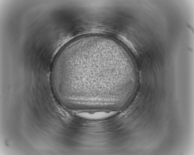 X0000093481260200710261032