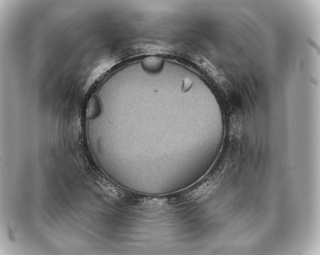 X0000093481261200710261032