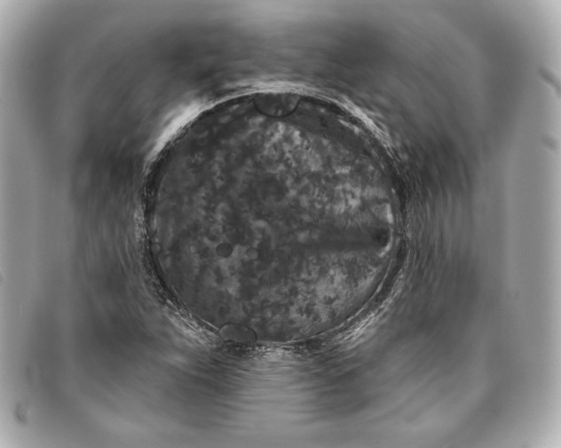 X0000093481263200710261032