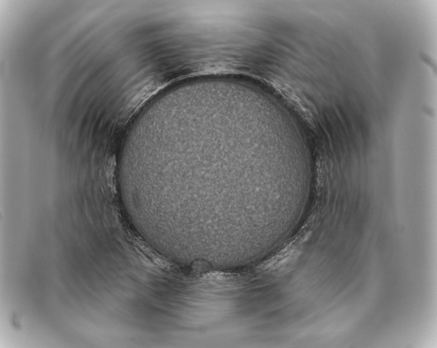 X0000093481265200710261032