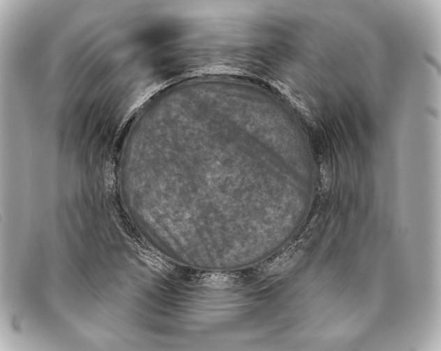 X0000093481266200710261032