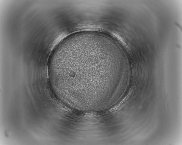 X0000093481267200710261032