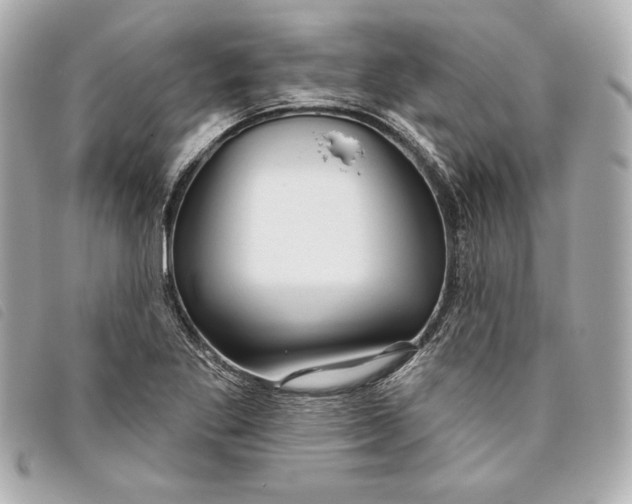 X0000093481269200710261032
