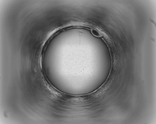 X0000093481272200710261031