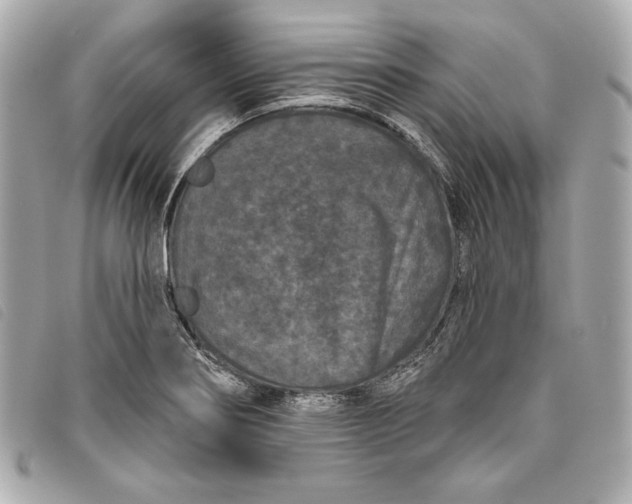 X0000093481274200710261031