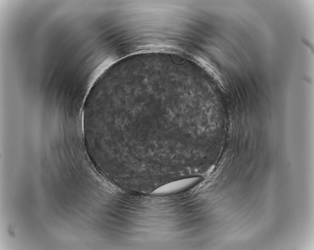 X0000093481275200710261031