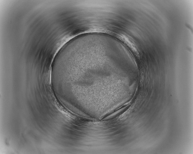 X0000093481276200710261031