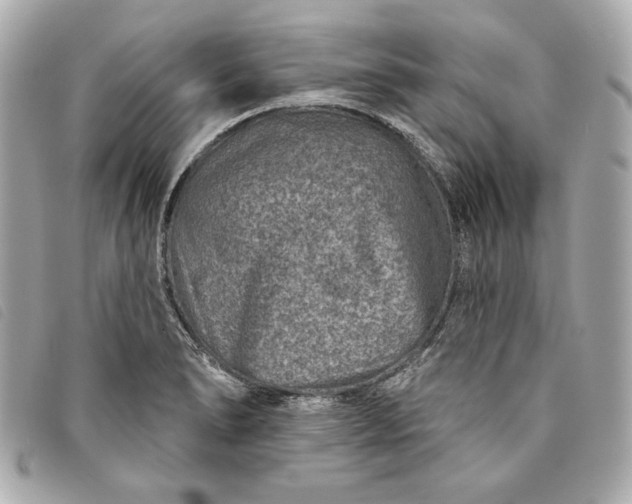 X0000093481278200710261031
