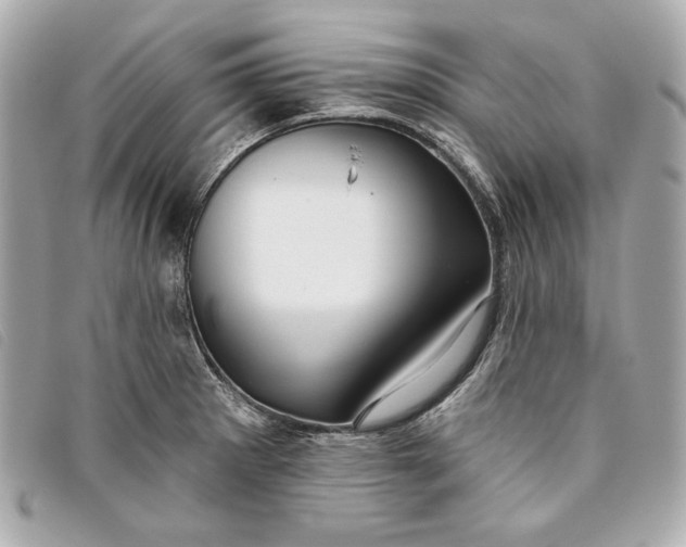 X0000093481281200710261031