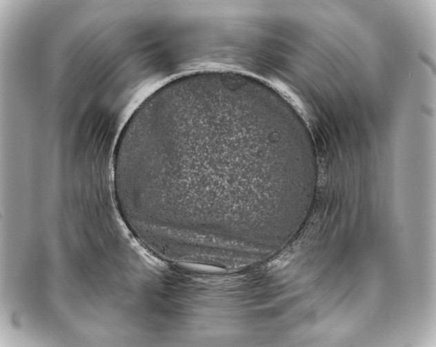 X0000093481287200710261031