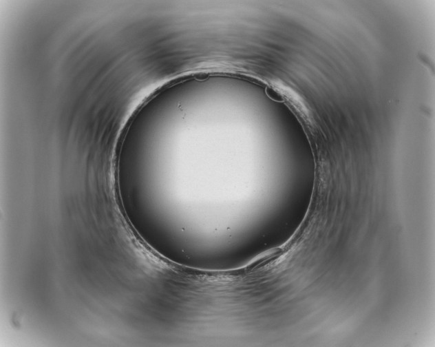 X0000093481288200710261031