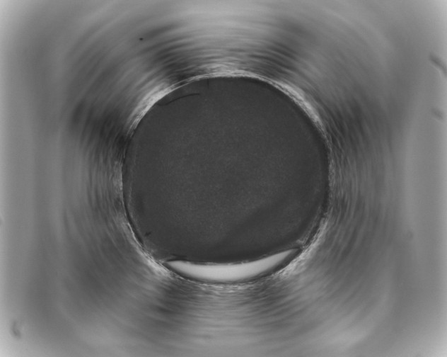 X0000093481289200710261031