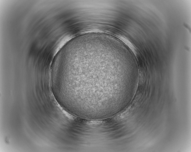 X0000093481290200710261031