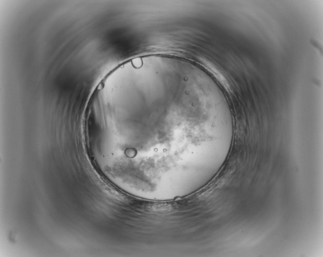 X0000093481291200710261031
