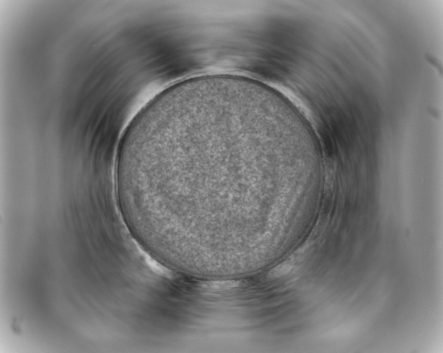 X0000093481294200710261031