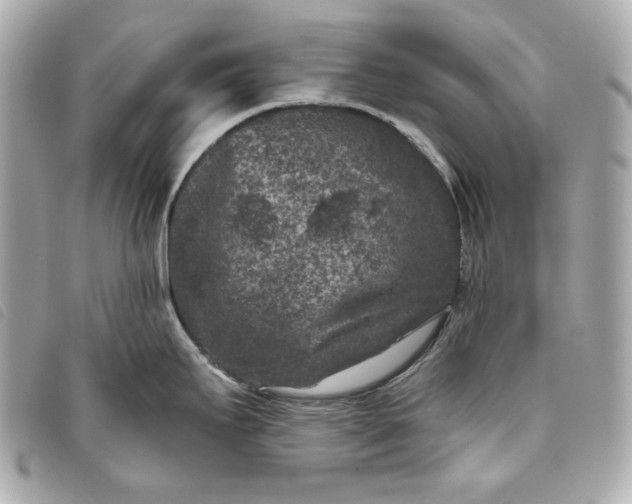 X0000093481295200710261031