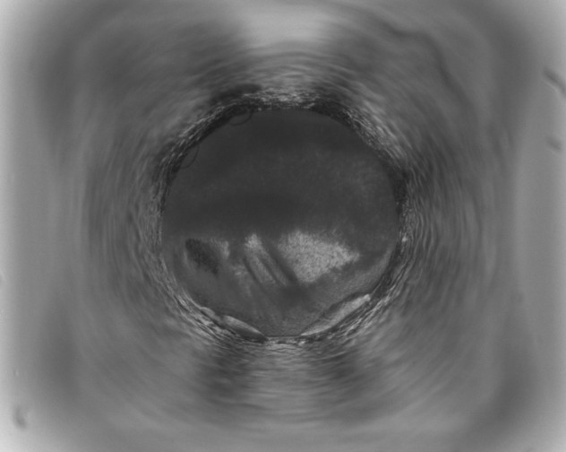 X0000093481297200710261031