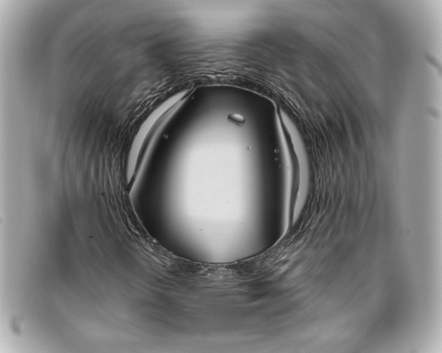 X0000093481298200710261031