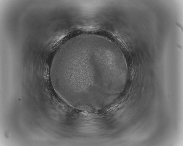 X0000093481301200710261031