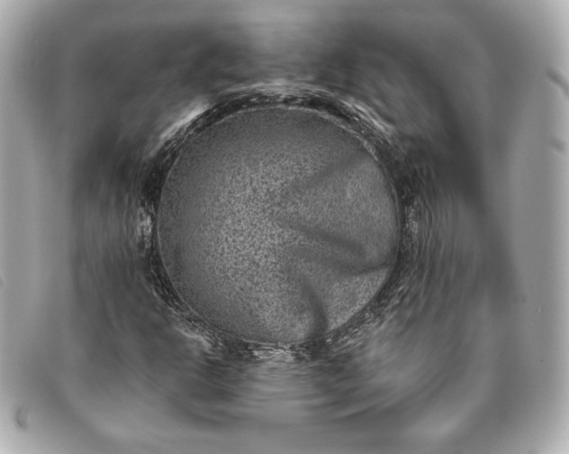 X0000093481302200710261031