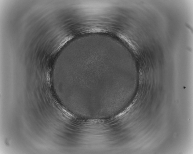 X0000093481305200710261031