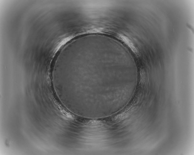 X0000093481308200710261031